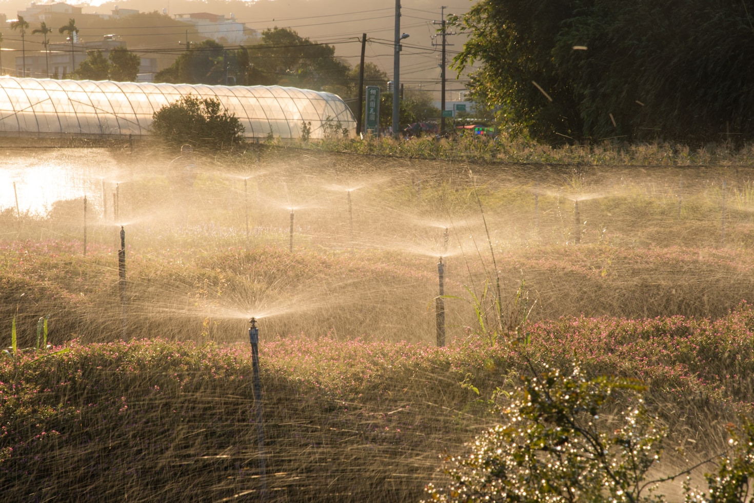 Het effect van landbouwgif op ons drinkwater
